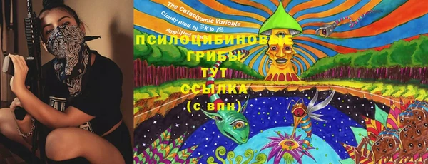 индика Кодинск