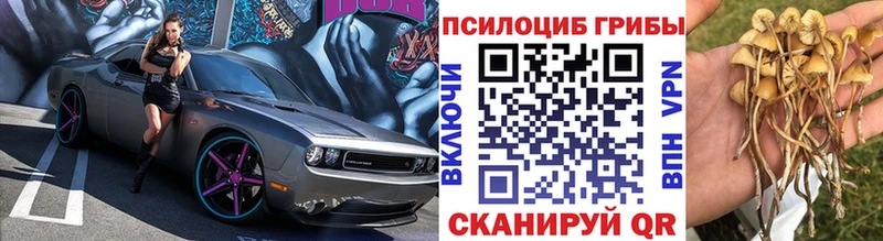 Галлюциногенные грибы Psilocybine cubensis Купить закладки Кологрив